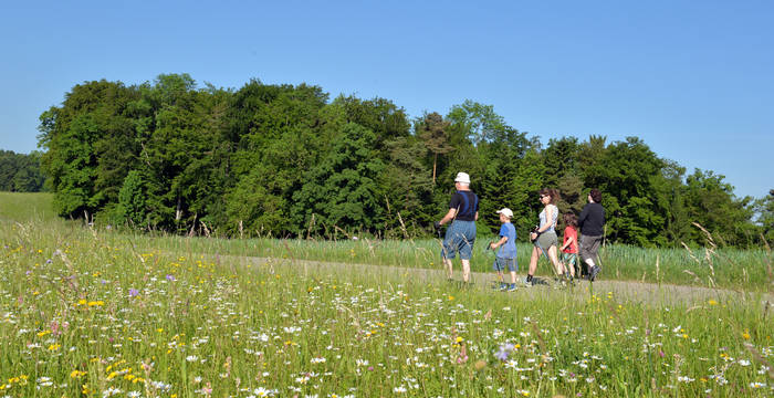 Kaltstart In Die Baselbieter Wiesentouren 2024 | Pro Natura Baselland